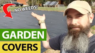 Garden Ground Covers To Eliminate Weeds Forever [upl. by Aisac490]