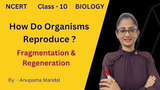 Fragmentation amp Regeneration  How Do Organisms Reproduce Class10 Biology NCERT [upl. by Kirsch380]