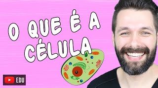 O QUE É A CÉLULA  Biologia com Samuel Cunha [upl. by Enened]