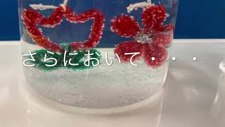 おうちでできる科学実験「キラキラ結晶づくり」 [upl. by Eelessej]