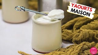 Recette de yaourts maison à la vanille  bien fermes et délicieux [upl. by Dimond]