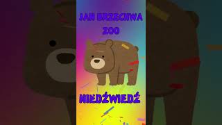 NIEDŹWIEDŹ🐻 JAN BRZECHWAZOObajki i wierszyki dla dzieci na dobranoc po polskuaudiobook dla dzieci [upl. by Pain]