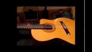 Ibanez GA5TCE AM Review [upl. by Sidnarb]