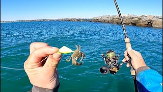 Fishing Live Crabs On Jetty Rocks For Whatever Bites amp Underwater Cam View [upl. by Rhonda714]