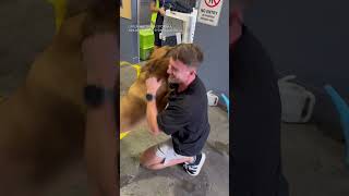 Dog reunited with owner after 6 months apart [upl. by Diehl]