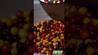 14 This is the way to preserve cherry plums shared by Azerbaijani people [upl. by Samohtnhoj]