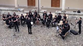 S Mercadante  Clarinet concerto in Bb major Op76I Mov [upl. by Ettevad]