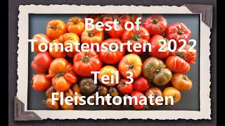 Best of Tomatensorten 2022 Teil 3  Fleischtomaten [upl. by Alda]