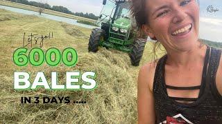 Massey Ferguson 1840 Cranking out 6000 bales in 3 days  FULL barn  hayseason balinghay [upl. by Mariandi31]