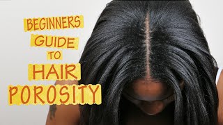 Hair Porosity 101  FOR BEGINNERS [upl. by Anilehs]