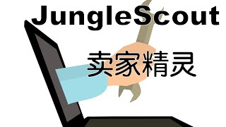 使用JungleScout与卖家精灵进行亚马逊选品陈老师 [upl. by Anelam]