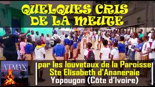 QUELQUES CRIS ET SLOGANS DE MEUTE PAR LES LOUVETEAUX DE YOPOUGON [upl. by Aeslehs376]