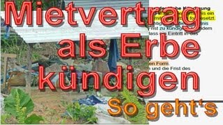 Als Erbe wirksam Mietvertrag kündigen § 564 BGB  So gehts  Mustertext  Immobooksde [upl. by Annodal]