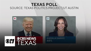 UT Texas Politics Project poll shows where Texans stand on heated presidential senate races [upl. by Ynohtnaeoj]