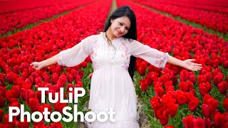 Tulip Photoshoot 2023  Tulip tour Netherlands  Spring Photoshoot  Best Tulip Photos Tulip Fields [upl. by Tur]