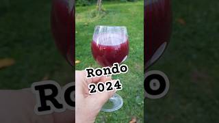 Domowe wino Rondo 2024 domowewino wino [upl. by Joed]