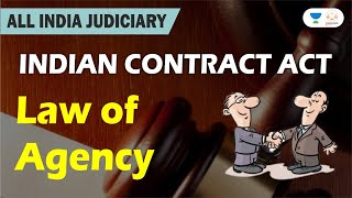 Law of Agency  Indian Contract Act  Judiciary Exams [upl. by Allegna384]