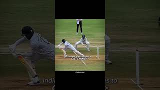 cricket reel reels viral [upl. by Nimaj]