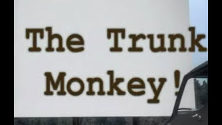 Trunk Monkey Compilation [upl. by Rebmaed]