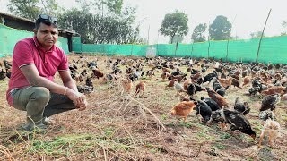 600 Free Range Poultry amp 1000 sqft Shed [upl. by Kwang]