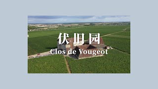 法国葡萄酒的精神家园 丨勃艮第 Clos de Vougeot 伏旧园 [upl. by Atteiluj]