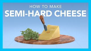 How to make semihard cheese [upl. by Imelida]