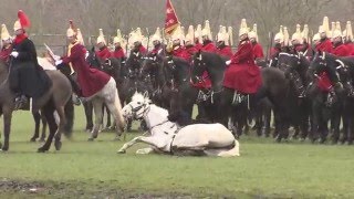 Household Cavalry Season Starts With a SlipUp  Forces TV [upl. by Saire]