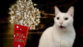 Popcorn Song  Crazy Cats [upl. by Llabmik]