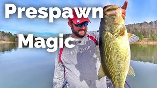 How to Fish for Largemouth Bass During Prespawn  Early Spring Fishing [upl. by Mcmillan217]