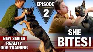 Where to Start with a TOTALLY UNTRAINED DOG Reality Dog Training Episode 2 [upl. by Nowed137]