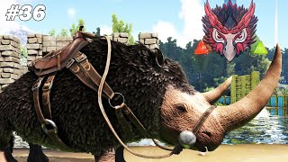 Je capture des Rhinoceros Laineux  Ark Survival Evolved PvE 36 [upl. by Solorac]