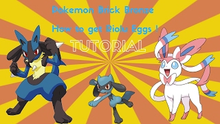 ROBLOX Pokemon Brick Bronze  How to get Riolu Eggs [upl. by Atena528]