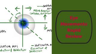 Eye Movements Rapid Review [upl. by Ennaylloh233]