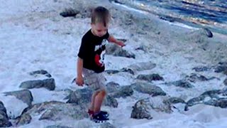 Boy Snatched by Gator at Disney Likely Dead [upl. by Luwana720]