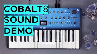 Modal Cobalt 8 Sound Demo no talking [upl. by Egamlat653]