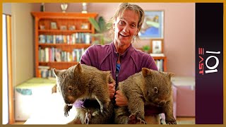 🇦🇺 The Wombat Whisperer  101 East [upl. by Dorahs]