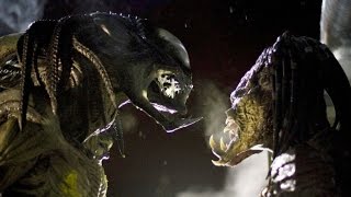 AVP Alien vs Predator 2004 Explained [upl. by Frum728]