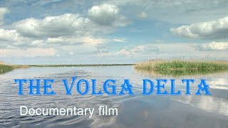 Nature of Russia The Volga Delta [upl. by Edgard]