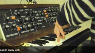 Minimoog Model D vs Moog Voyager Comparison [upl. by Anett]