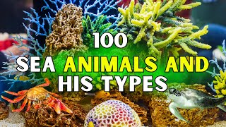 Learn Sea animals  Crustaceans amp Shellfish  Sea animals  For Preschool Kids  in English [upl. by Mikol]