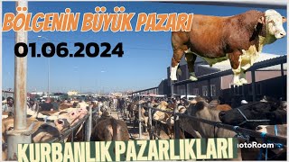 AFYONKARAHİSAR ŞUHUT CANLI HAYVAN PAZARI GÜNCEL KURBANLIK FİYATLARI01062024​⁠ [upl. by Tingey]