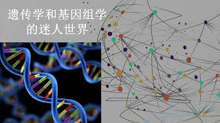 遗传学和基因组学的迷人世界  在六分钟内解释 [upl. by Aihsilef]