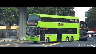 SG ❤️BUS  A Lush Green Invasion [upl. by Frolick]