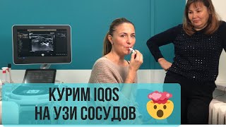 Эксперимент 2 Электронная сигарета IQOS [upl. by Gibb]