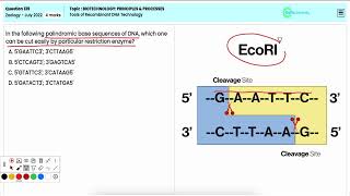 Exploring Tools of Recombinant DNA Technology  NEET Zoology Q139  Biotechnology Principles [upl. by Bonina]