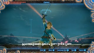 Zelda Breath of The Wild All 9 Selfie Poses [upl. by Terces]