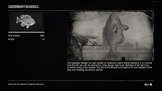 Legendary Bluegill Location  How To Catch The Legendary Bluegill In Red Dead Redemption 2 [upl. by Eyla]