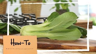 How To Pak Choi zubereiten  MAGGI Kochstudio [upl. by Yrem]