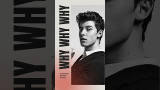 Shawn Mendes Why Why Why  Slow and Reverb  Relaxing Remix  4K  HD [upl. by Aivilys353]