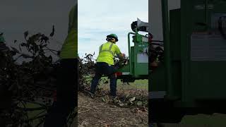 Bandits Ultimate 15quot Capacity Chipper  The 15XP treeremoval landscaping woodchipper [upl. by Ahsuat]